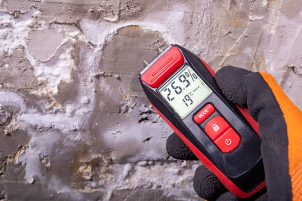 Best Certified Mold Removal  in Wrightsville Beach, NC