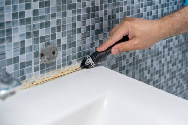 Best Professional Mold Removal  in Wrightsville Beach, NC