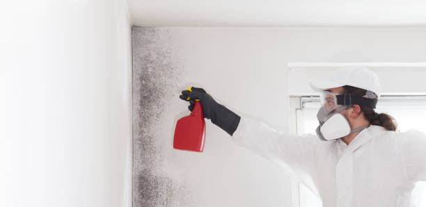 Wrightsville Beach, NC Mold Removal Company